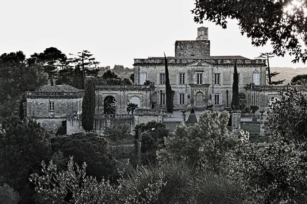 Studio Entre Cevennes Et Camargue Montfrin Dış mekan fotoğraf